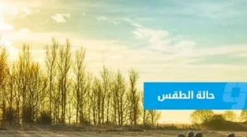توقعات الطقس في ليبيا (الأربعاء 23 يوليو 2025)