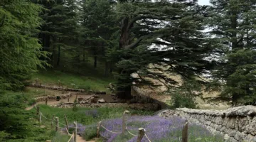توقف السماء في لبنان | النهار