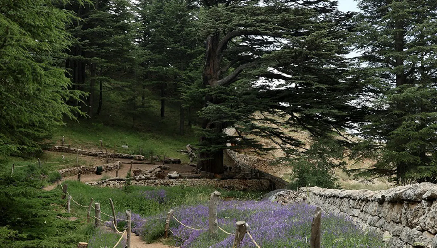 توقف السماء في لبنان | النهار توقف السماء في لبنان | النهار