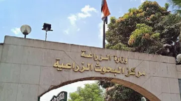 توقيع مذكرة تفاهم بين معهد البحوث الزراعية ومبادرة “حياة كريمة”