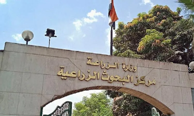 توقيع مذكرة تفاهم بين معهد البحوث الزراعية ومبادرة “حياة كريمة”