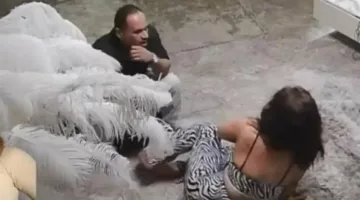 توقيف هدير عبد الرازق وزوجها بعد تلقي شكاوى بشأن محتوى مسيء ومشاهد اعتداء.