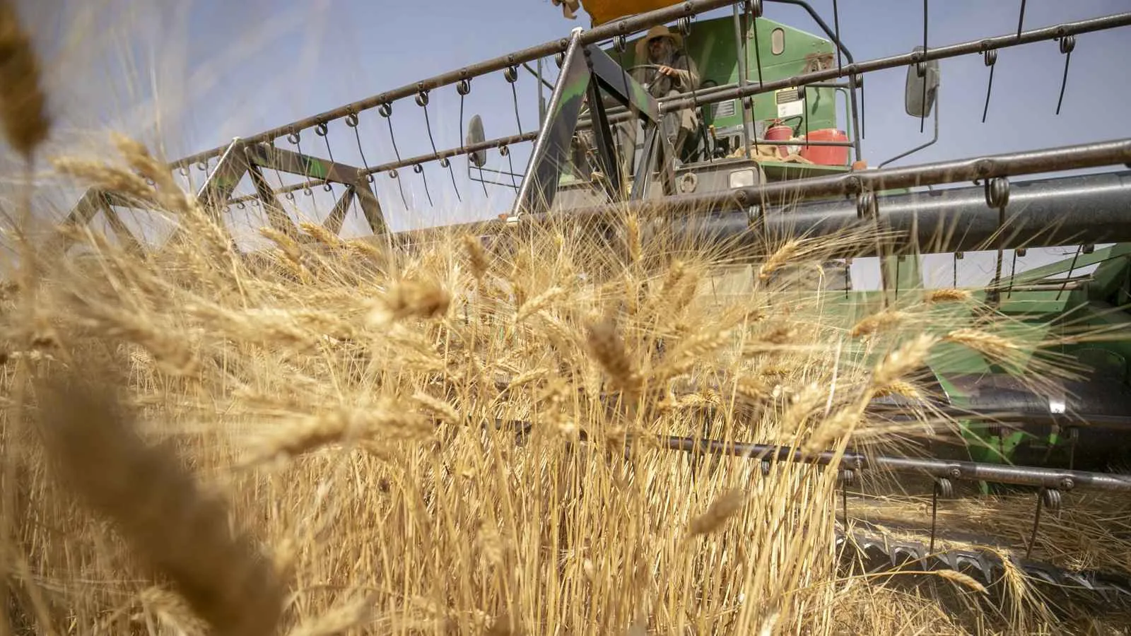 تونس تتوقع harvest حبوب يصل إلى 19.8 مليون قنطار بزيادة قدرها 72% في الموسم الحالي. تونس تتوقع harvest حبوب يصل إلى 19.8 مليون قنطار بزيادة قدرها 72% في الموسم الحالي.