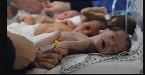 صحة غزة: 60 ألف رضيع في خطر الموت والأطفال يصلون المستشفيات في حالة هزيلة.