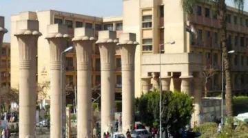 جامعة عين شمس: لم نبدأ بعد استقبال طلبات الالتحاق بالجامعة الأهلية