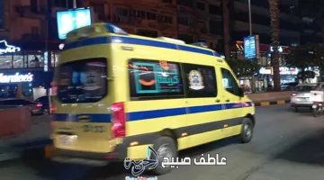 جثة وإصابة نتيجة انقلاب سيارة نقل على طريق المنصورة-جمصة