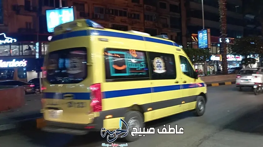 جثة وإصابة نتيجة انقلاب سيارة نقل على طريق المنصورة-جمصة جثة وإصابة نتيجة انقلاب سيارة نقل على طريق المنصورة-جمصة