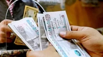 جدول رواتب يوليو 2025 للموظفين: تفاصيل الزيادات الجديدة بشكل دقيق