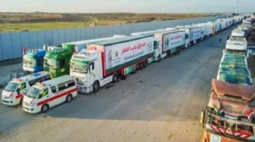 جمعة: مصر تساهم بـ 540 شاحنة مساعدات إلى غزة منذ أربعة أيام