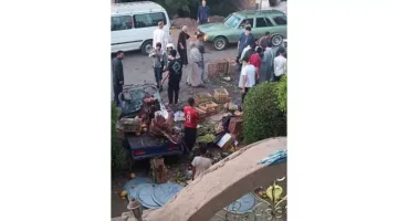 حافلة لنقل العمال تصطدم بتروسيكل خضراوات.. 4 جرحى في حادث بالمنوفية