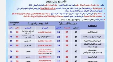 حرارة مرتفعة وخلل في الملاحة البحرية.. الأرصاد تُعلن توقعات الطقس يوم الأحد المقبل