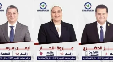 حزب الإصلاح والنهضة يبدأ حملته الرسمية لانتخابات مجلس الشيوخ 2025