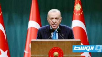 حزب يدعم الأكراد في تركيا يخطط للقاء إردوغان