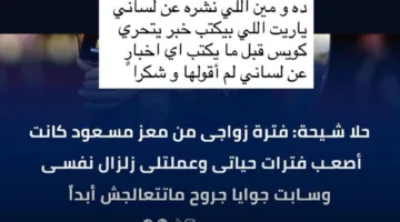 حلا شيحة توضح حقيقة أقوالها حول فترة زواجها من الداعية معز مسعود