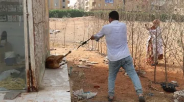 حملة تطعيم الكلاب ضد السعار في مدينة 6 أكتوبر