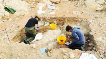 خبراء ومسؤولون: الحقائق تعزز من مكاسب التراث الإنساني