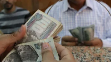 خبير اقتصادي: رفع الرواتب والمعاشات يهدف لمسايرة تزايد نفقات الحياة