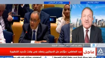 خبير في العلاقات الدولية: مؤتمر نيويورك يبرهن على فشل إسرائيل في تقديم نفسها كضحية