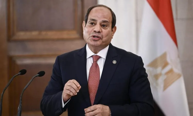 خطاب من الرئيس السيسي إلى نظيره النيجيري يسلمه وزير الخارجية خطاب من الرئيس السيسي إلى نظيره النيجيري يسلمه وزير الخارجية