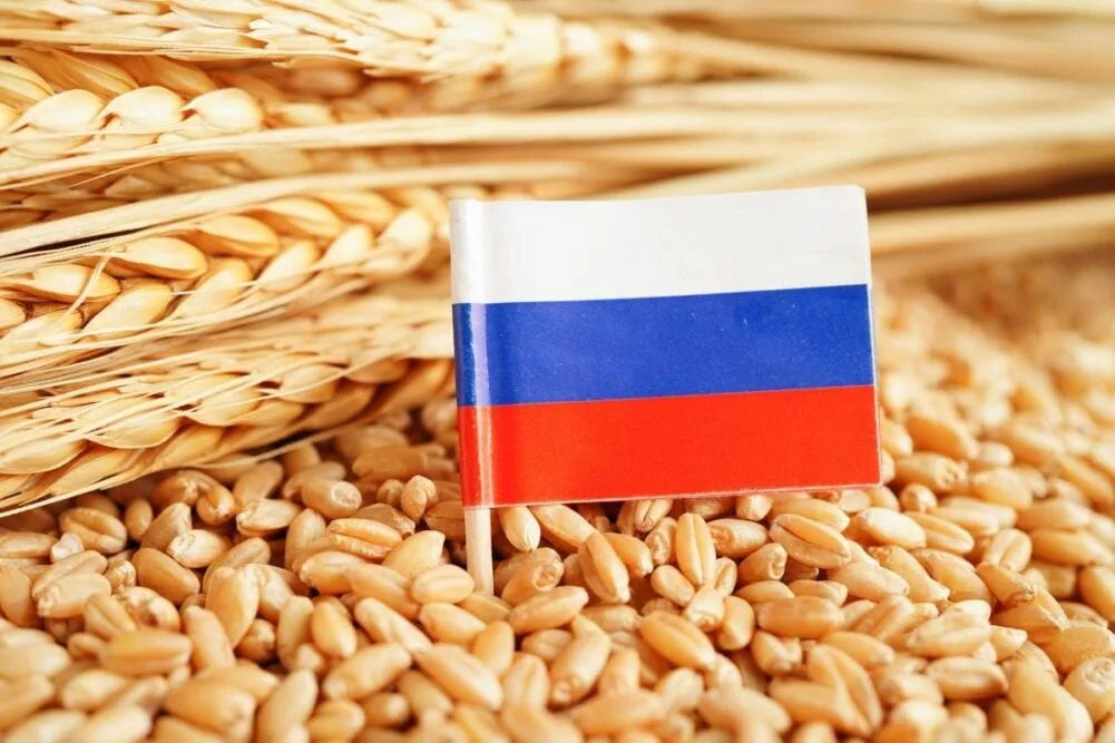خطوة تاريخية: روسيا تُعلن عن إلغاء الرسوم على صادرات القمح خطوة تاريخية: روسيا تُعلن عن إلغاء الرسوم على صادرات القمح