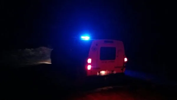 خلال مغادرتهما احتفال زفاف.. وفاة شقيقين برصاص نارى في البحيرة