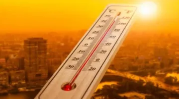 د. فهيم: التغير المناخي يؤثر على جميع الدول بغض النظر عن مستوى تقدمها