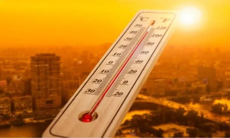 د. فهيم: التغير المناخي يؤثر على جميع الدول بغض النظر عن مستوى تقدمها