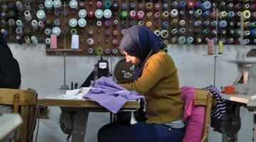 د. محرم هلال: المشاريع الصغيرة والمتوسطة أساسية لتنمية الاقتصاد