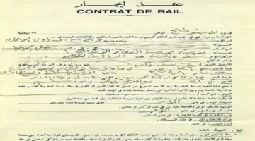 د. نجيب عوضين: تجديد عقد الإيجار بشكل دائم يؤدي إلى إلغائه