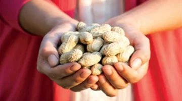 دراسة دم قد تشير إلى نجاح علاج حساسية الفول السوداني