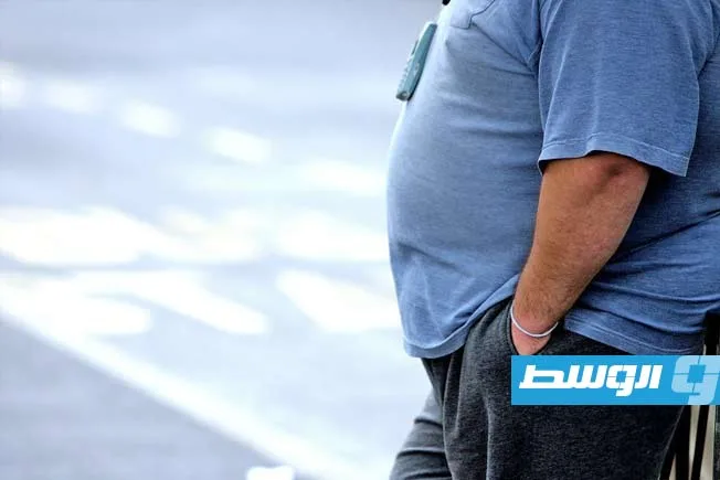 دراسة دولية: الحماية من التهاب الكبد الفيروسي “ب” والسمنة تسهمان في تقليل انتشار سرطان الكبد.