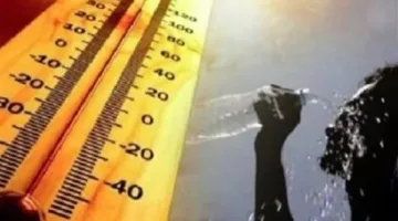 درجات الحرارة تتخطى 43 درجة.. الأرصاد تنبه بشأن أحوال الطقس يوم الأربعاء