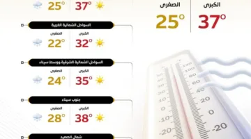 درجات حرارة مرتفعة.. توقعات الطقس ليوم الغد الأربعاء والعظمى في القاهرة 37 درجة