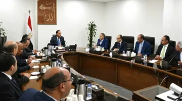 رئيس الوزراء: من الضروري أن يلاحظ المواطن انخفاضاً في أسعار المنتجات نتيجة لتراجع قيمة الدولار أمام الجنيه