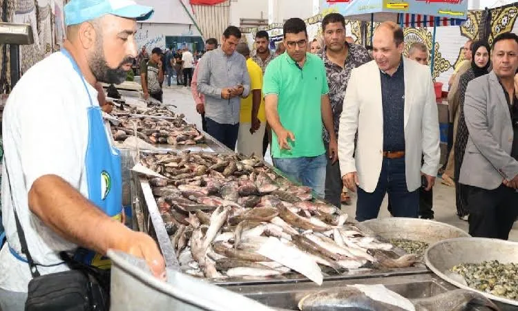 رئيس مدينة الإسماعيلية يعلن بدء مبادرة “أسماك الوطن لأبناء الوطن”