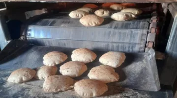 رئيس مدينة غارب بالبحر الأحمر يُطالب بمواصلة الحملات التفتيشية على المخابز والأسواق