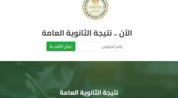 رابط نتائج الثانوية العامة 2025 بشكل رسمي وآخر الأخبار العاجلة حولها الآن