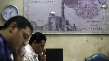 رابط نتائج ترقية موظفي الحكومة من الهيئة المركزية للتنظيم والإدارة