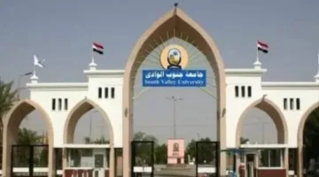 رسوب جماعي في “جنوب الوادي”.. الجامعة توضح التفاصيل