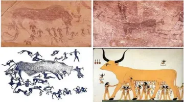 رسوم غريبة وكائنات مشوهة: اكتشافات مذهلة من كهف الوحوش في الوادي الجديد (صور)