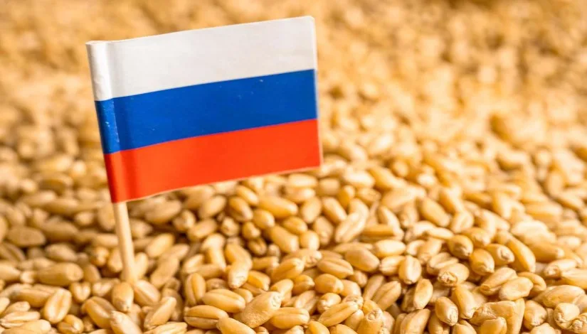 روسيا تُعلن إنهاء ضريبة تصدير القمح. روسيا تُعلن إنهاء ضريبة تصدير القمح.