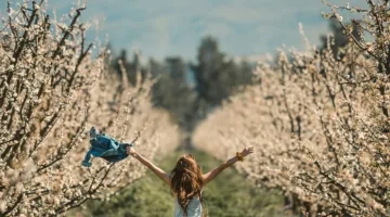 روعة الحياة خلال رحلة العمر