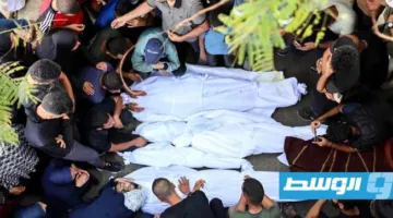 «رويترز»: البرازيل تشارك جنوب أفريقيا في دعواها ضد «إسرائيل» أمام محكمة العدل الدولية