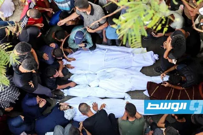 «رويترز»: البرازيل تشارك جنوب أفريقيا في دعواها ضد «إسرائيل» أمام محكمة العدل الدولية