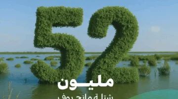زراعة 52 مليون شجرة مانجروف على سواحل المملكة ضمن أهداف “المملكة الخضراء”