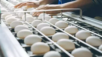 زيادة أسعار البيض في الأسواق بتاريخ 11-7-2025 (من مصدر موثوق)