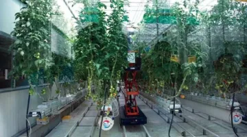 زيادة صافي أرباح “سابك للمغذيات الزراعية” بنسبة 50% لتتجاوز مليار ريال في الربع الثاني من 2025
