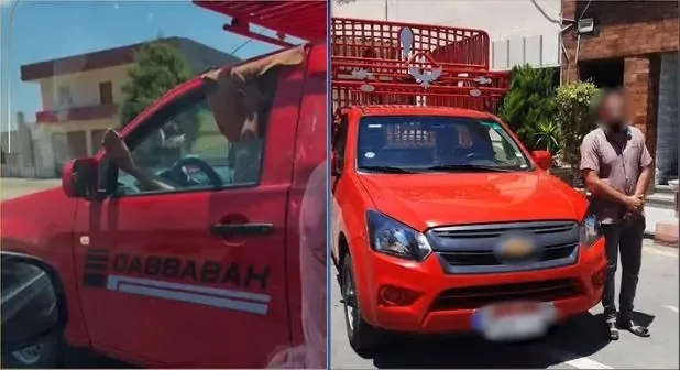 سائق سيارة ربع نقل في البحيرة يظهر قدمه من الشباك.. الداخلية تتدخل (فيديو) سائق سيارة ربع نقل في البحيرة يظهر قدمه من الشباك.. الداخلية تتدخل (فيديو)