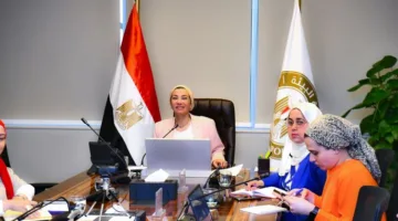 وزيرة البيئة تناقش مع نظيرها النرويجي آخر التطورات في مفاوضات اتفاقية التلوث بالبلاستيك