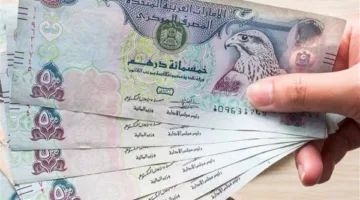 سعر الدرهم الإماراتي مقابل الجنيه المصري بتاريخ 31 يوليو 2025